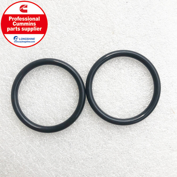 Cummins K19 O-ring Seal 3028291