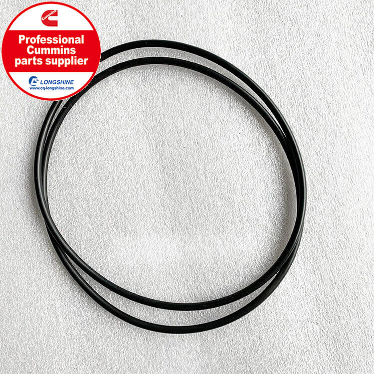 Cummins K38 Seal O Ring 206457