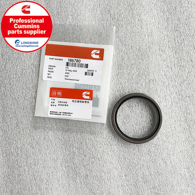 Cummins NT855 Thermostat Seal 186780-2