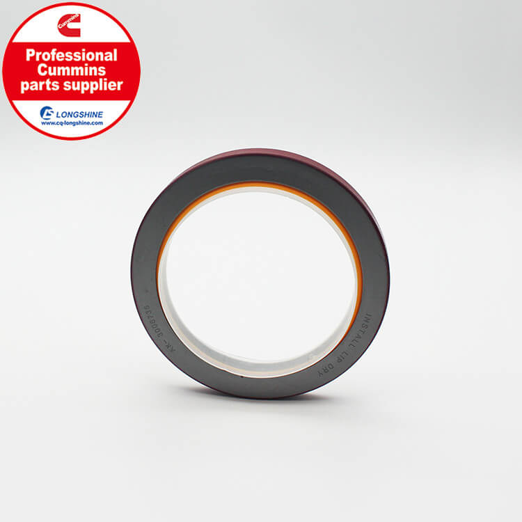 Cummins NTA855 Crankshaft Front Oil Seal 3004317-6