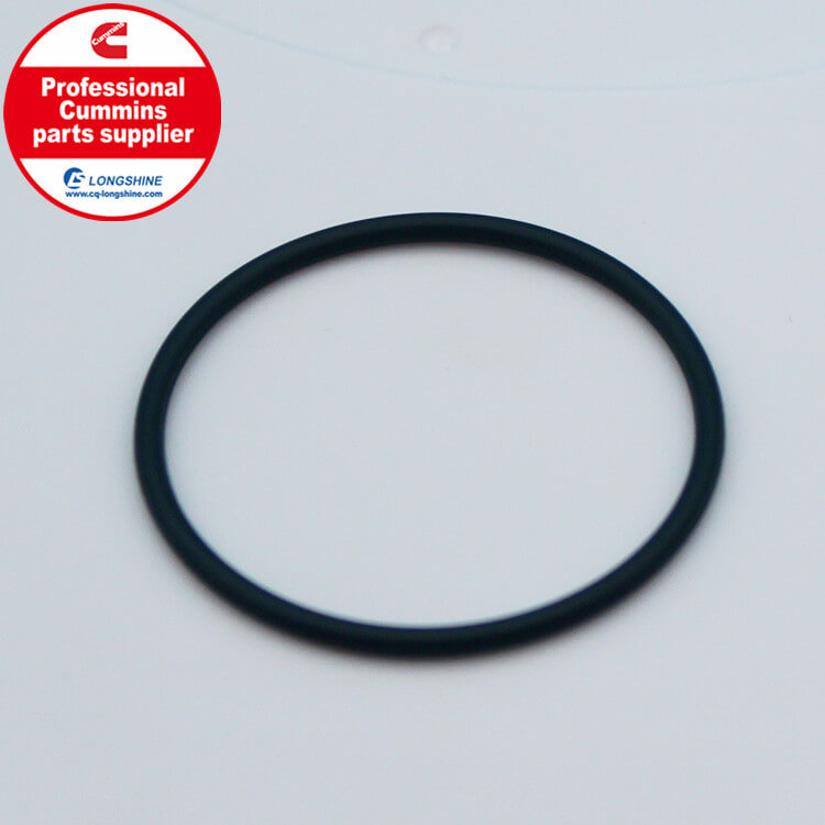 Cummins Seal O Ring 3347937